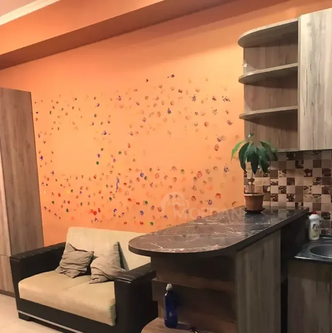 Apartments For Rent two-room 60м² 4/10 floor Tbilisi - photo 4