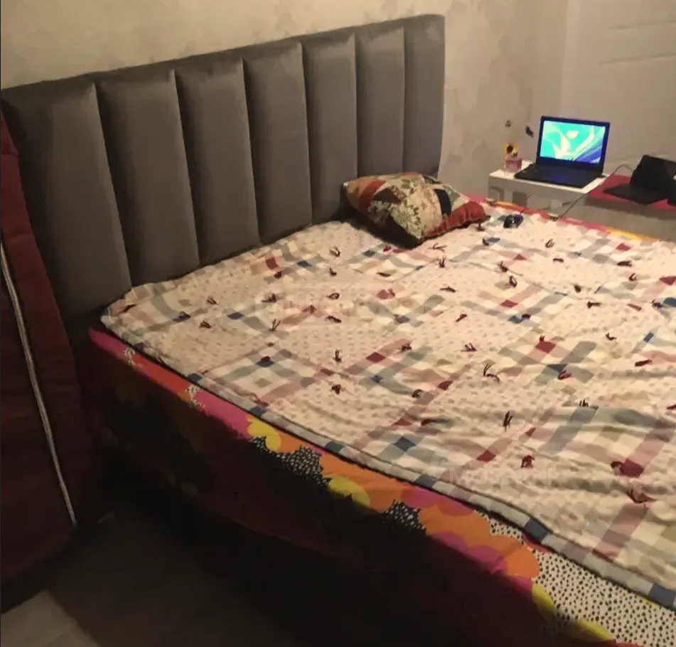 Сдам 2-комн. квартиру 45м² 9/15 эт. Тбилиси - изображение 7