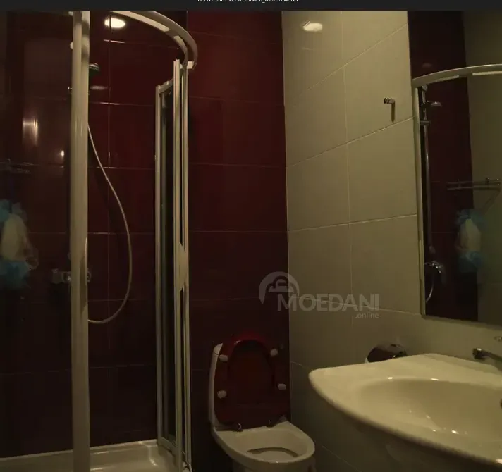 ქირავდება 5 ოთახიანი ბინა 203.31მ² 10/12 სართ თბილისი - photo 11