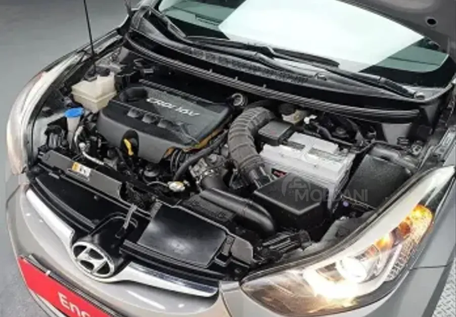 Hyundai Elantra 2015 Tbilisi - photo 5