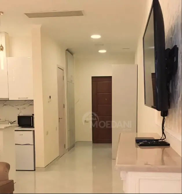 ქირავდება 2 ოთახიანი ბინა 60მ² 12/31 სართ თბილისი - photo 3