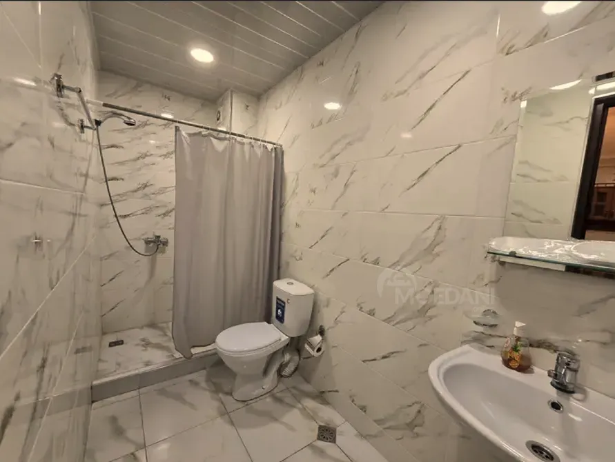 ქირავდება 2 ოთახიანი ბინა დღიურად თბილისში  50მ² 7/9 სართ თბილისი - photo 7