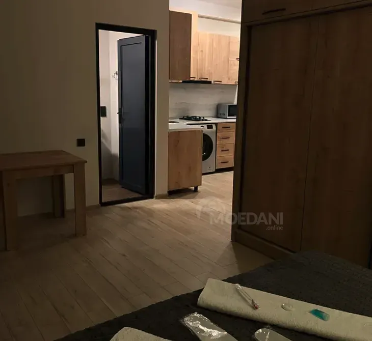 Short Term Rentals one-room 50m² 2/5 floor Kutaisi - photo 3