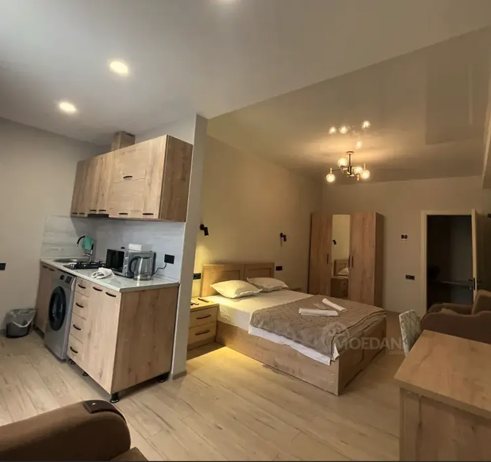 Short Term Rentals one-room 50m² 2/5 floor Kutaisi - photo 4