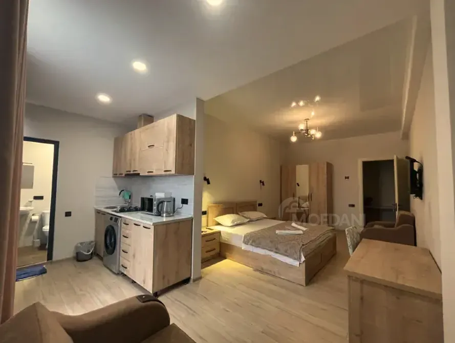 Short Term Rentals one-room 50m² 2/5 floor Kutaisi - photo 6