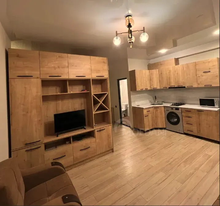 Short Term Rentals one-room 40m² 2/3 floor Kutaisi - photo 1