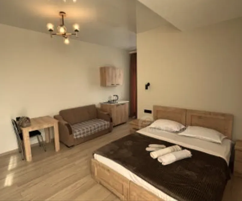Short Term Rentals one-room 35m² 2/5 floor Kutaisi - photo 5