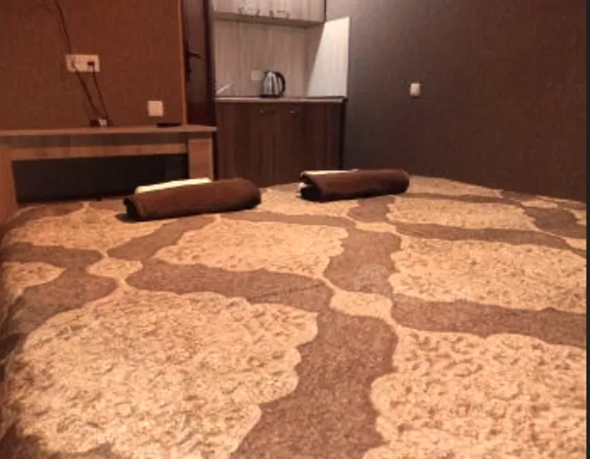 Сдам 1-комн. квартиру на сутки в Тбилиси  40м² 11/11 эт. Тбилиси - изображение 3