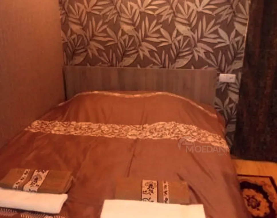 Сдам 1-комн. квартиру на сутки в Тбилиси  33м² 11/11 эт. Тбилиси - изображение 5