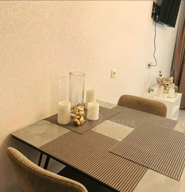 Сдам 1-комн. квартиру на сутки в Боржоми  30м² 2/7 эт. Боржоми - изображение 7