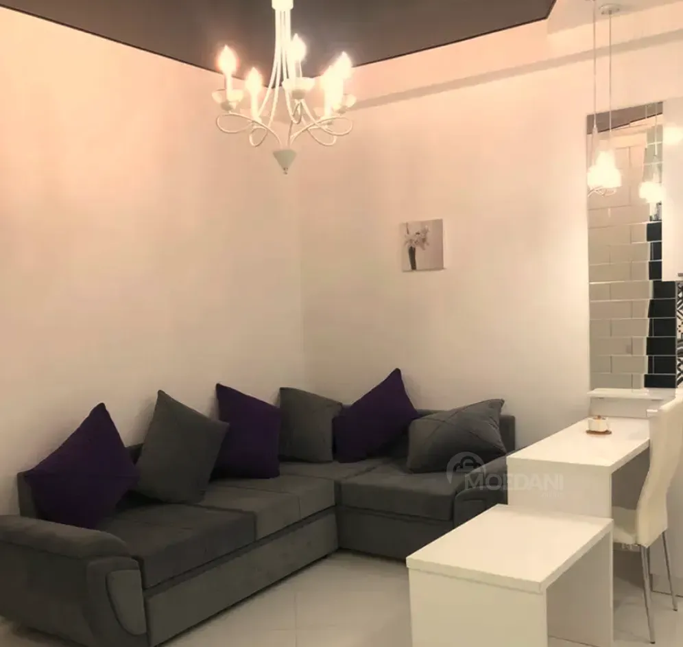 Сдам 2-комн. квартиру 45м² 8/10 эт. Тбилиси - изображение 5