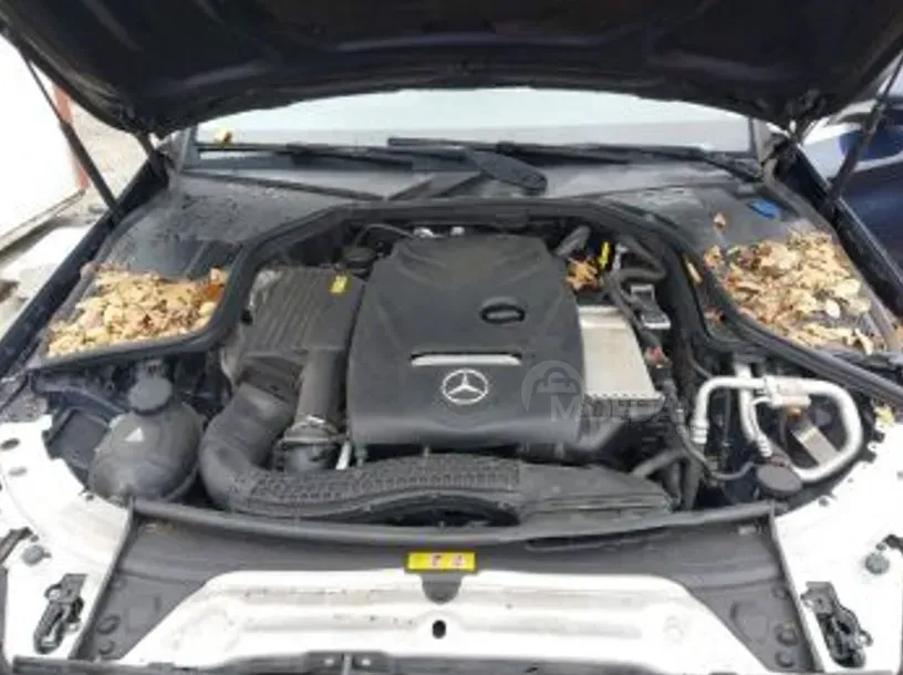 Mercedes C 2L 2016 თბილისი - photo 4