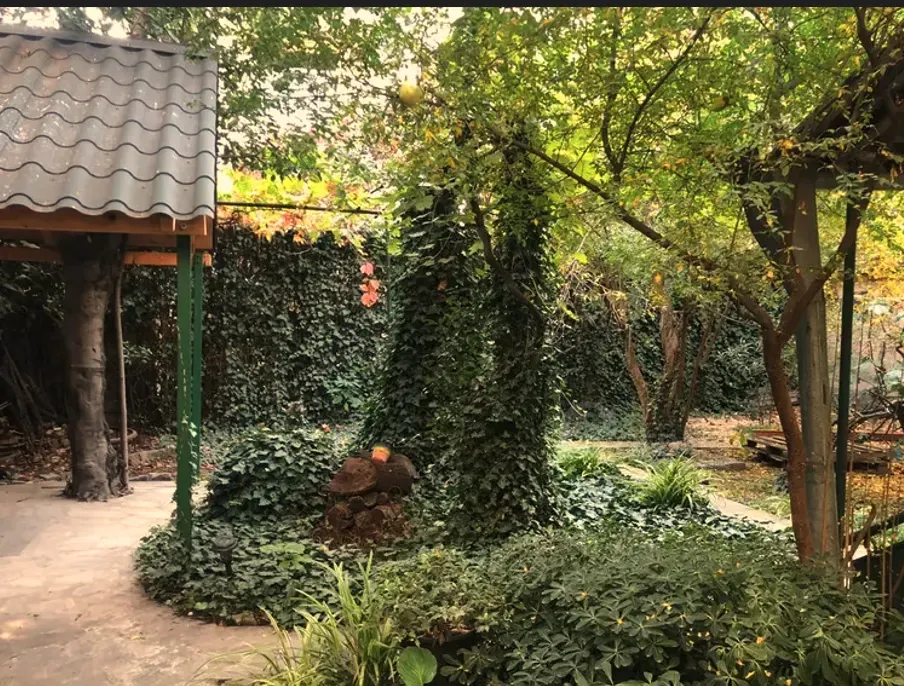 Apartments For Rent three-room 75м² 1/3 floor Tbilisi - photo 9