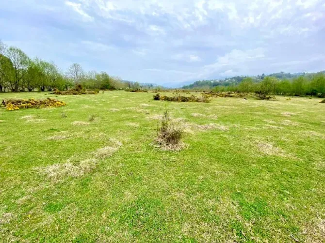 Продам земельный участок 10000м² Kobuleti - photo 4