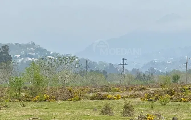 Продам земельный участок 10000м² Kobuleti - photo 1