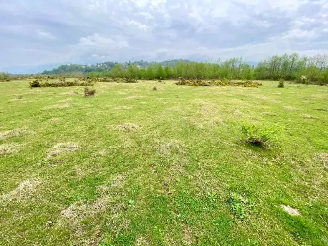 Продам земельный участок 10000м² Kobuleti - photo 2