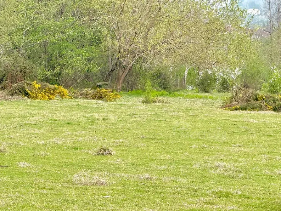 იყიდება მიწის ნაკვეთი 10000м² ქობულეთი - photo 3