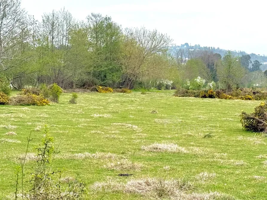 იყიდება მიწის ნაკვეთი 10000м² ქობულეთი - photo 5