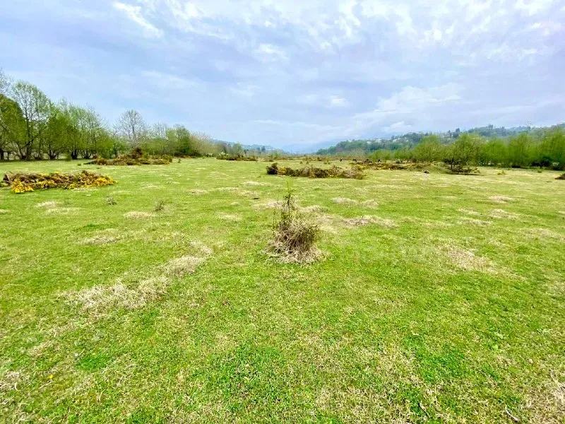 იყიდება მიწის ნაკვეთი 10000м² ქობულეთი - photo 4