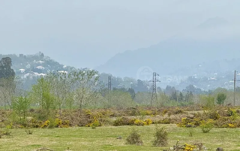 იყიდება მიწის ნაკვეთი 10000м² ქობულეთი - photo 1