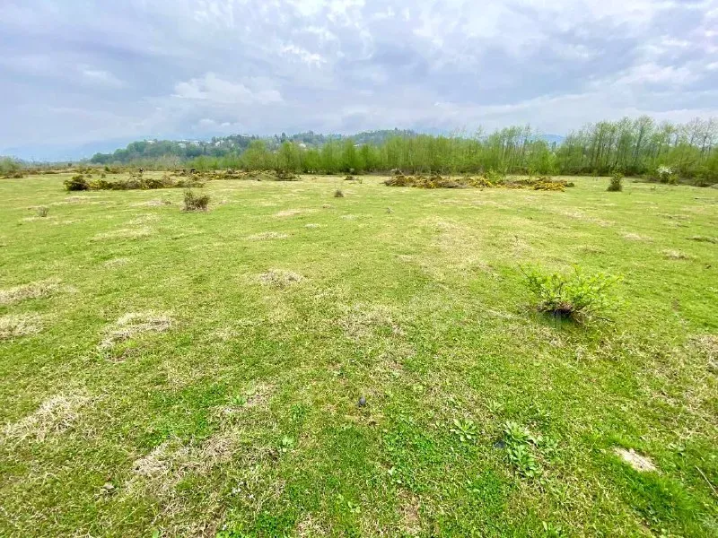 იყიდება მიწის ნაკვეთი 10000м² ქობულეთი - photo 2