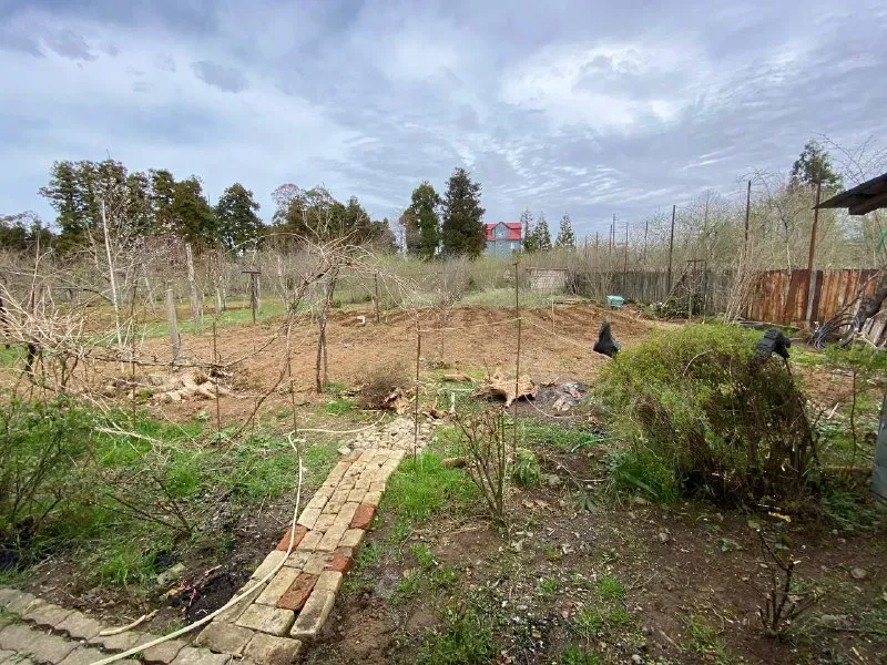 სახლი 1500м² ქობულეთი - photo 12