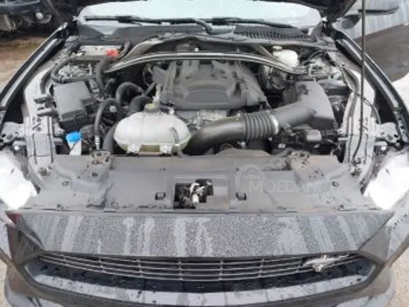 Ford Mustang 2.3L 2022 თბილისი - photo 5
