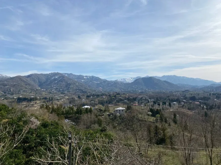 სახლი 2764м² ქობულეთი - photo 2