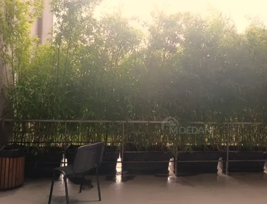 Ქირავდება საოფისე კომერციული ფართი დიღმის მასივში თბილისი - photo 11