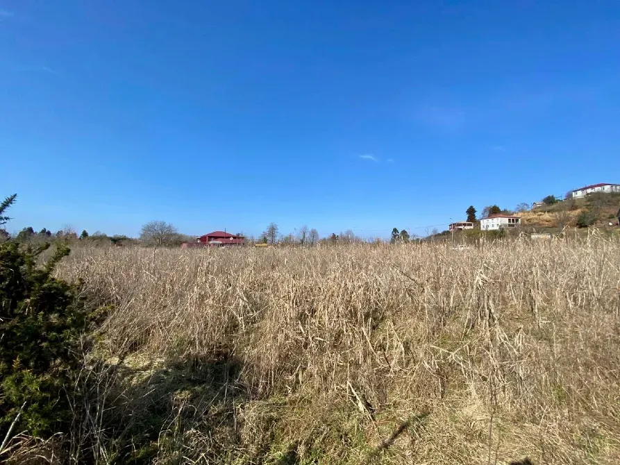 იყიდება მიწის ნაკვეთი 5690м² ქობულეთი - photo 3