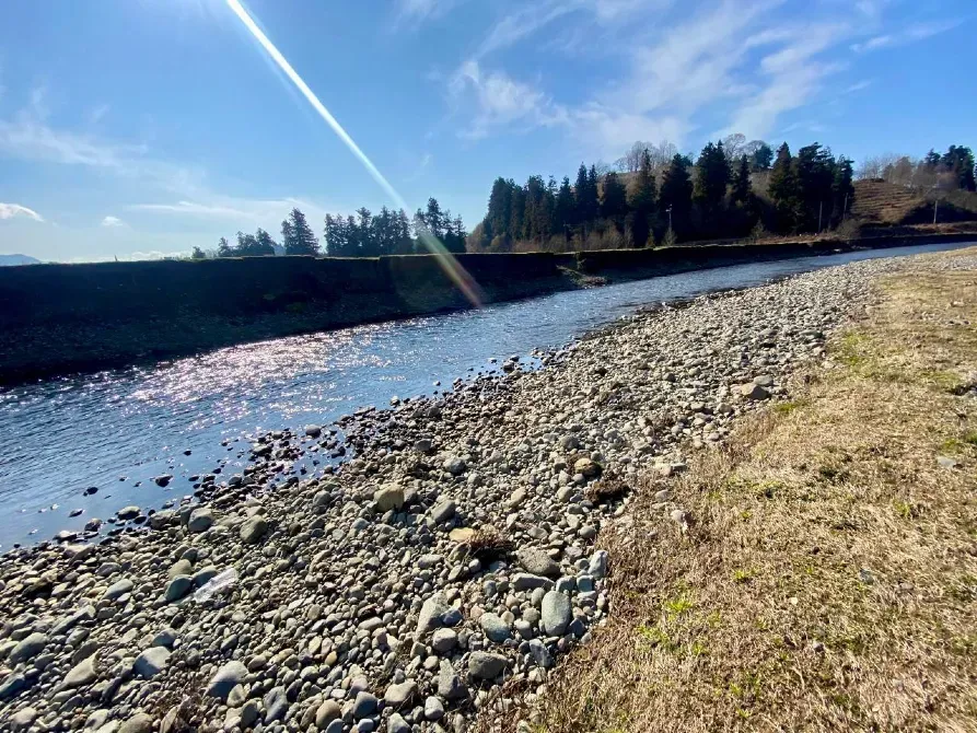 იყიდება მიწის ნაკვეთი 5690м² ქობულეთი - photo 5