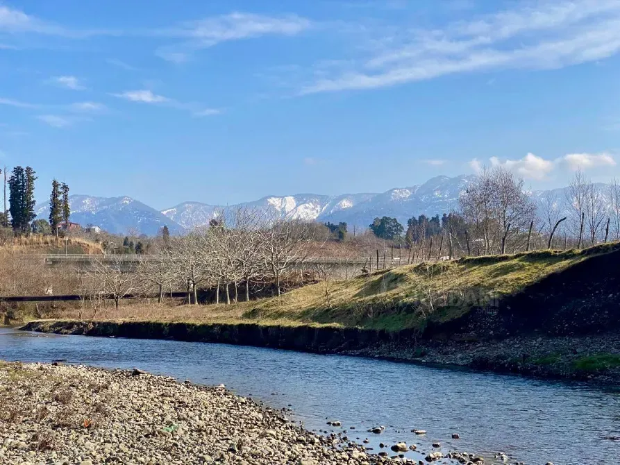 იყიდება მიწის ნაკვეთი 5690м² ქობულეთი - photo 1