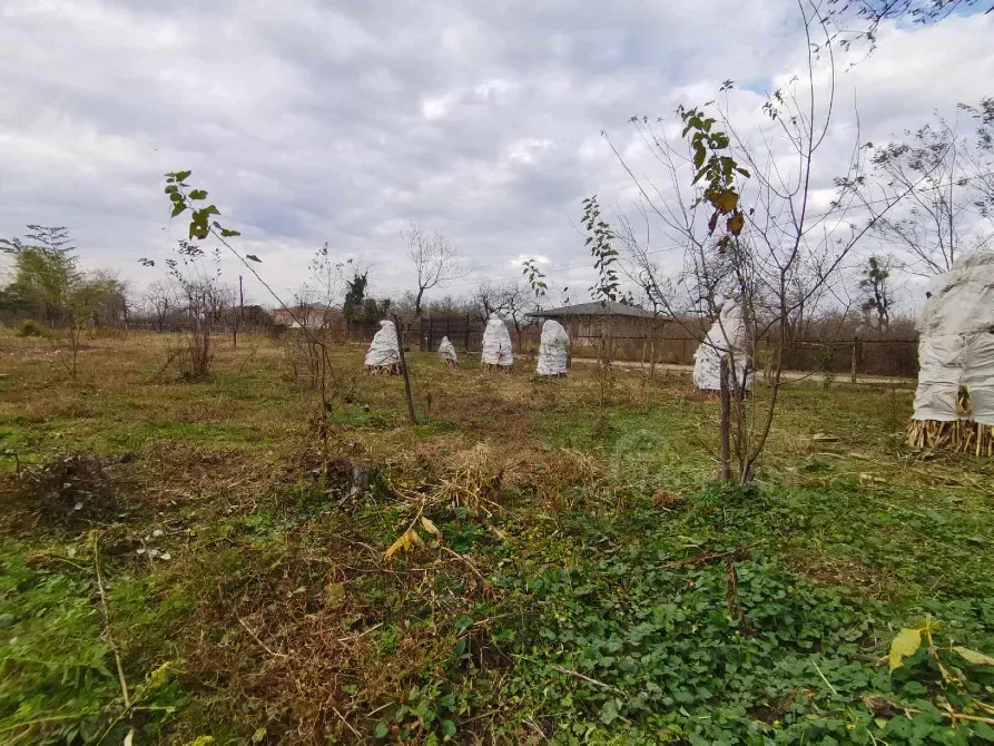 სახლი 10000м² მარტვილი - photo 6