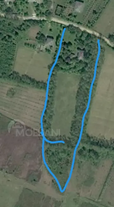 სახლი 10000м² მარტვილი - photo 10