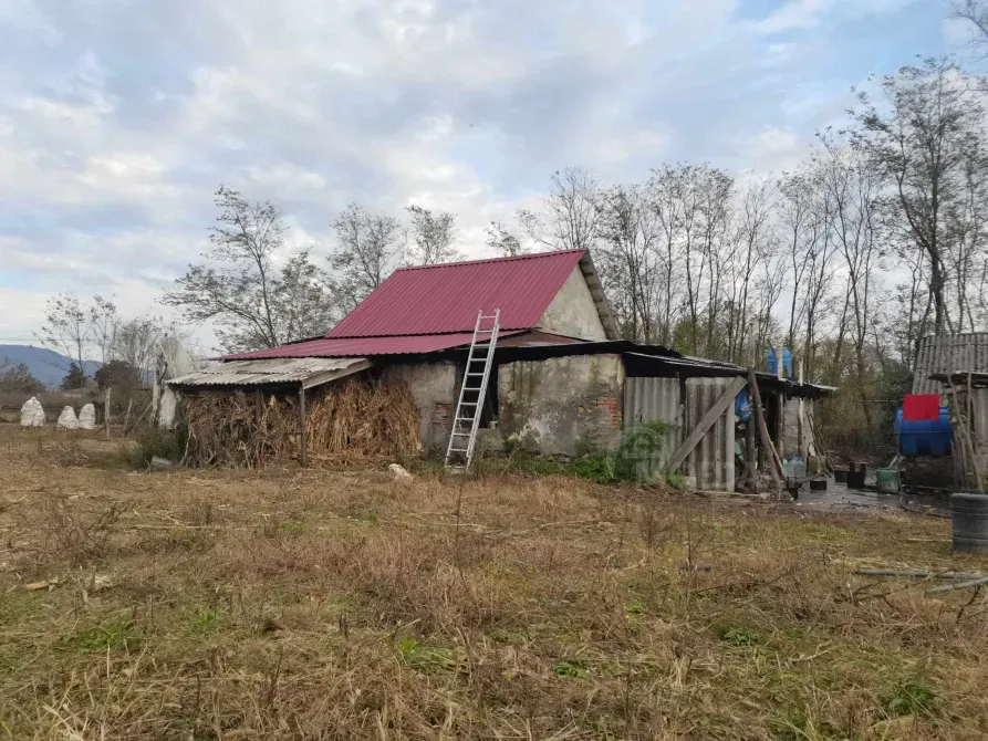 სახლი 10000м² მარტვილი - photo 5