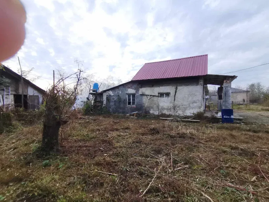 სახლი 10000м² მარტვილი - photo 2