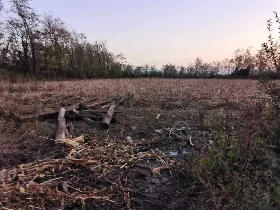 სახლი 10000м² მარტვილი - photo 4