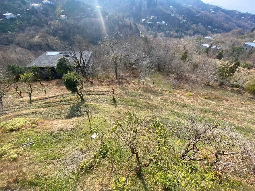 სახლი 1745м² ქობულეთი - photo 4