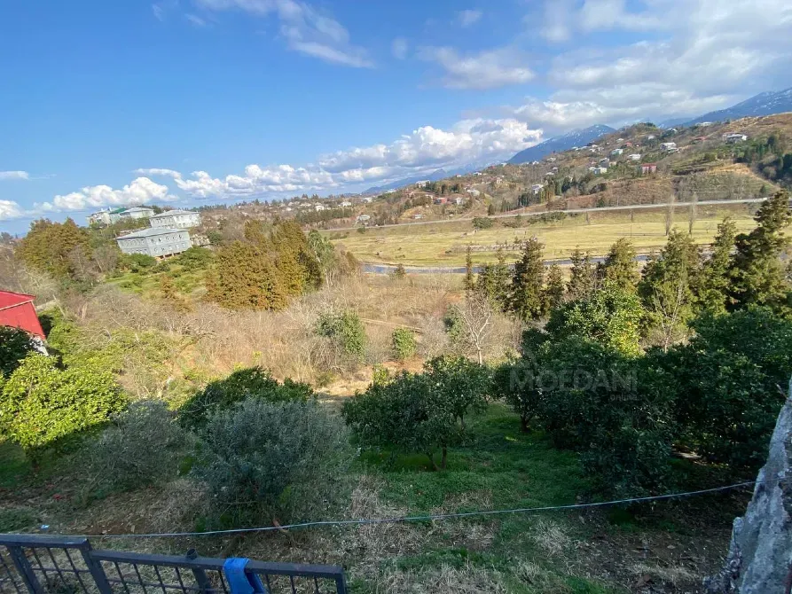 სახლი 1283м² ქობულეთი - photo 3