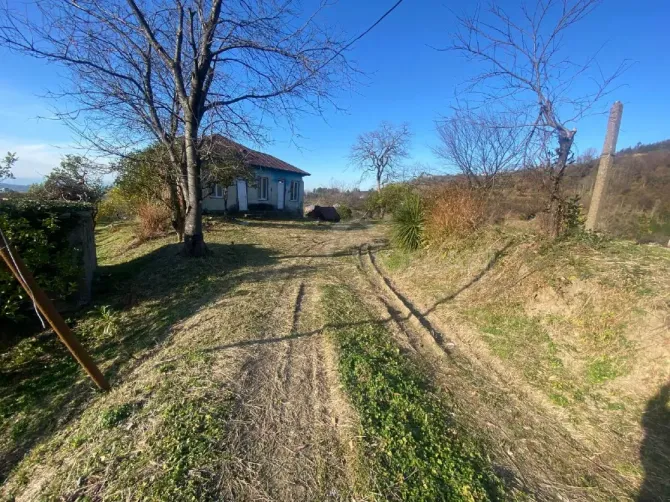 Продам земельный участок 3500м² Kobuleti - photo 5