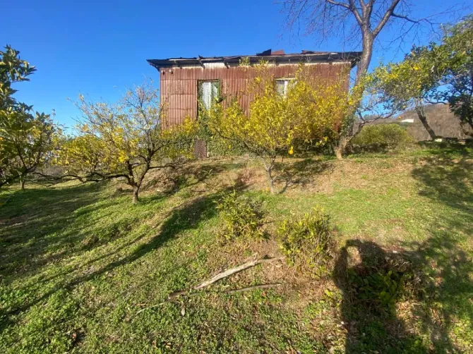 Продам земельный участок 3500м² Kobuleti - photo 3