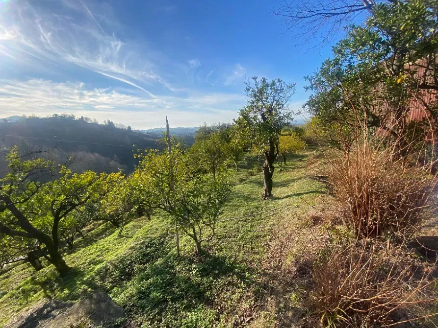 იყიდება მიწის ნაკვეთი 3500м² ქობულეთი - photo 1