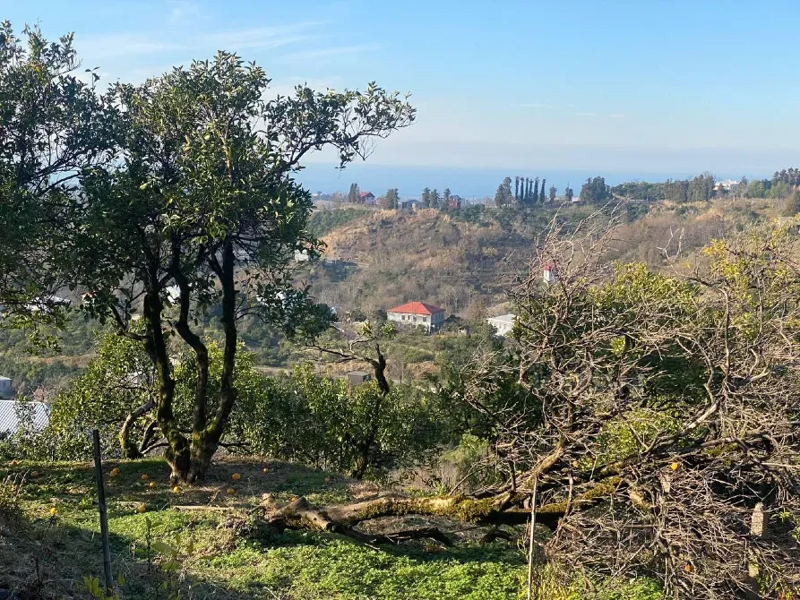 იყიდება მიწის ნაკვეთი 3500м² ქობულეთი - photo 4