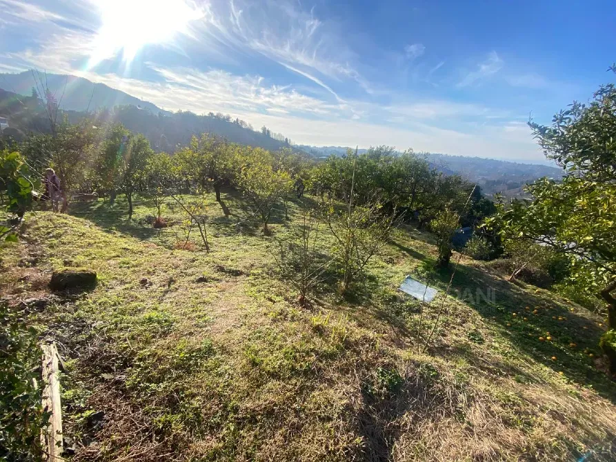 იყიდება მიწის ნაკვეთი 3500м² ქობულეთი - photo 2