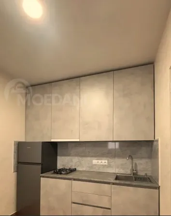 Apartments For Rent two-room 45м² 1/2 floor Tbilisi - photo 2