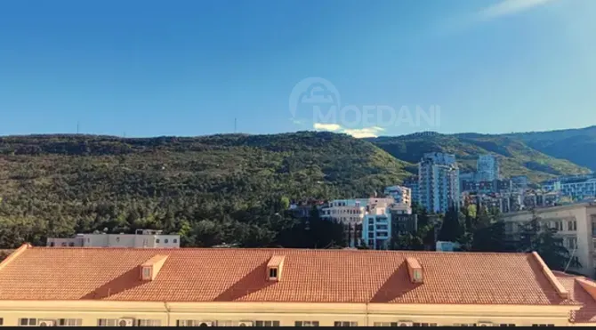Apartments For Rent four-room 120м² 8/10 floor Tbilisi - photo 13