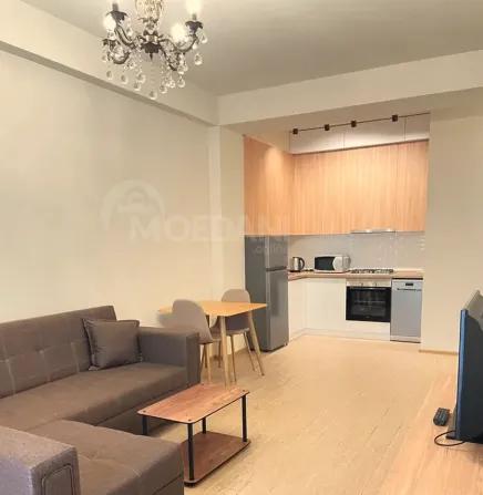 Apartments For Rent two-room 70м² 14/24 floor Tbilisi - photo 2
