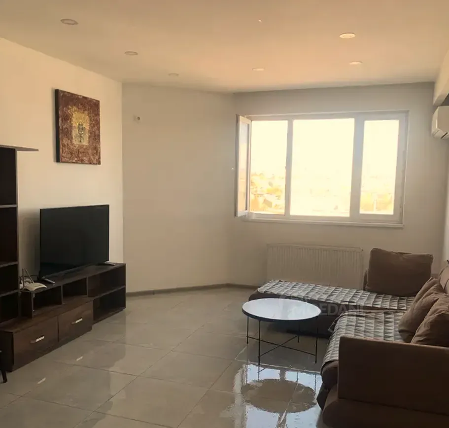 Apartments For Rent two-room 55м² 14/25 floor Tbilisi - photo 3