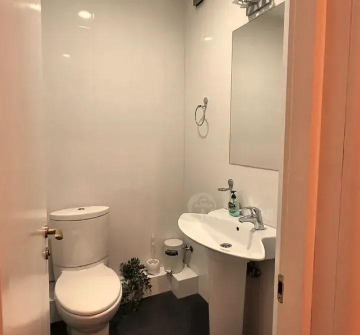 ქირავდება 4 ოთახიანი ბინა 225მ² 4/6 სართ თბილისი - photo 8