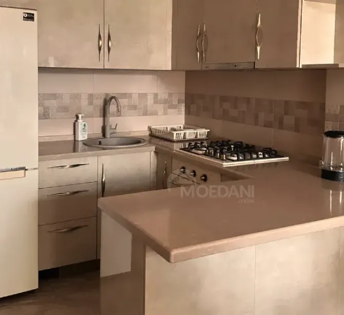 Apartments For Rent two-room 65м² 9/17 floor Tbilisi - photo 6